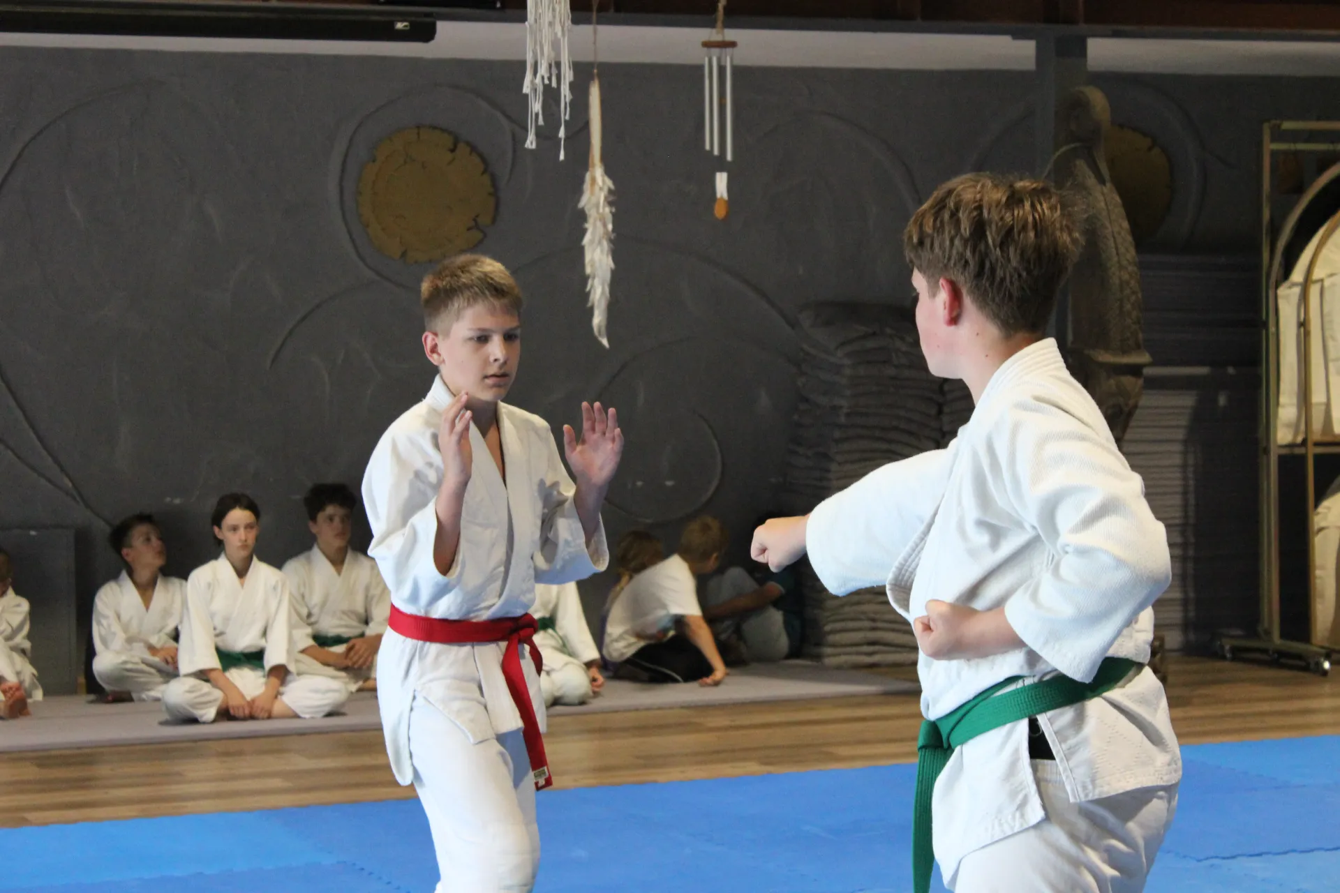 Aikido namai „Ramus dangus“