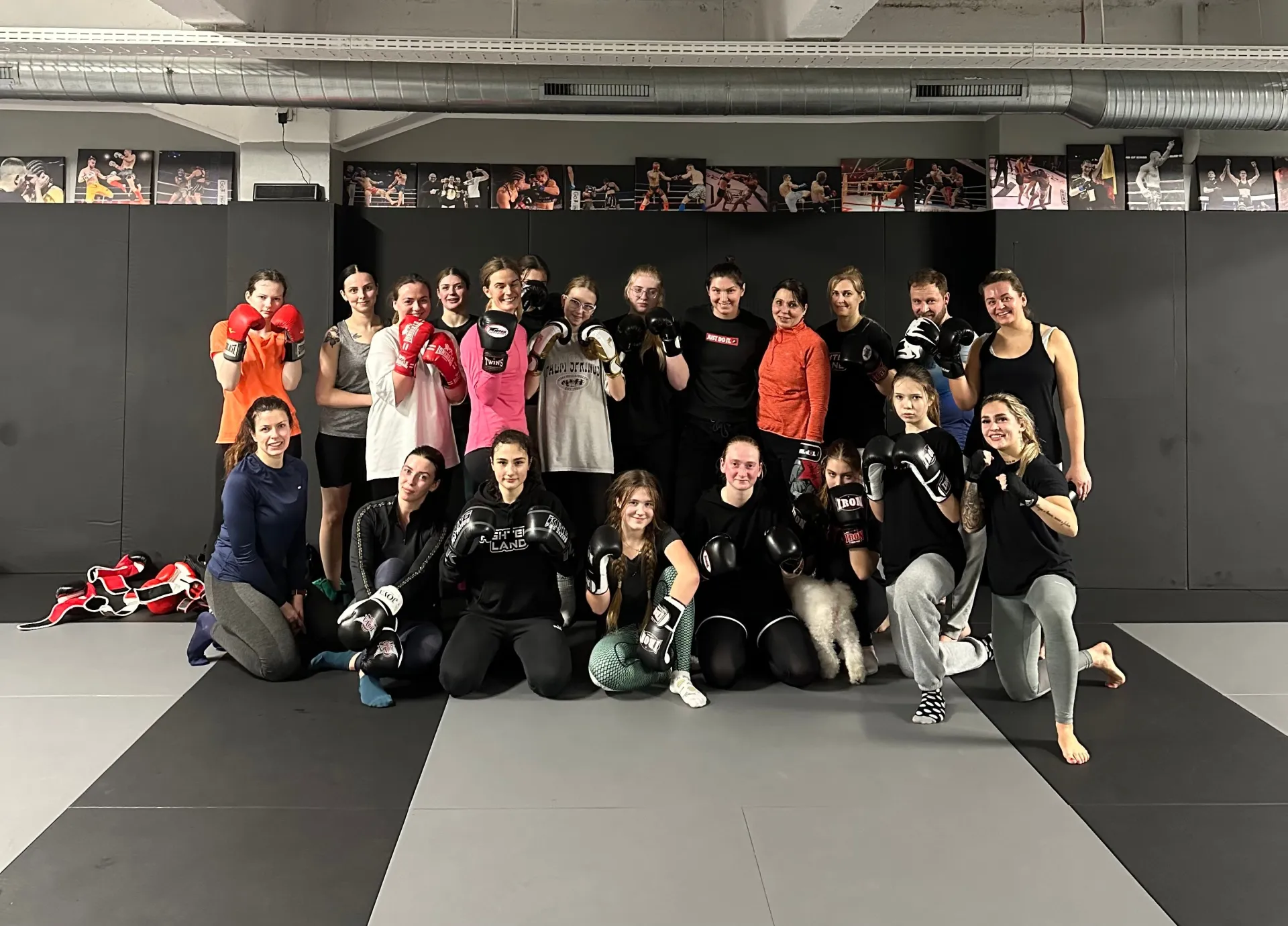 Fightersland