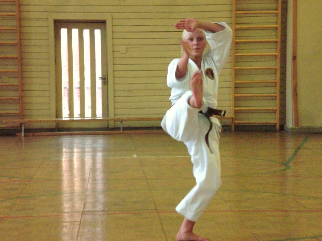 Karate kovos klubas „Tigrai“