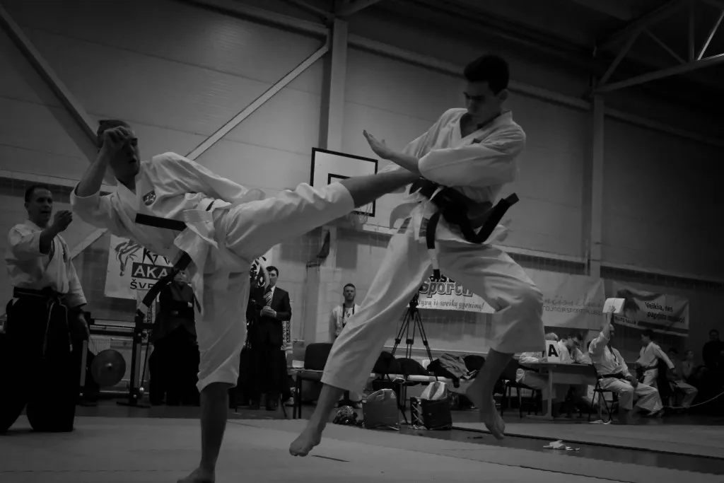 Accademia di karate
