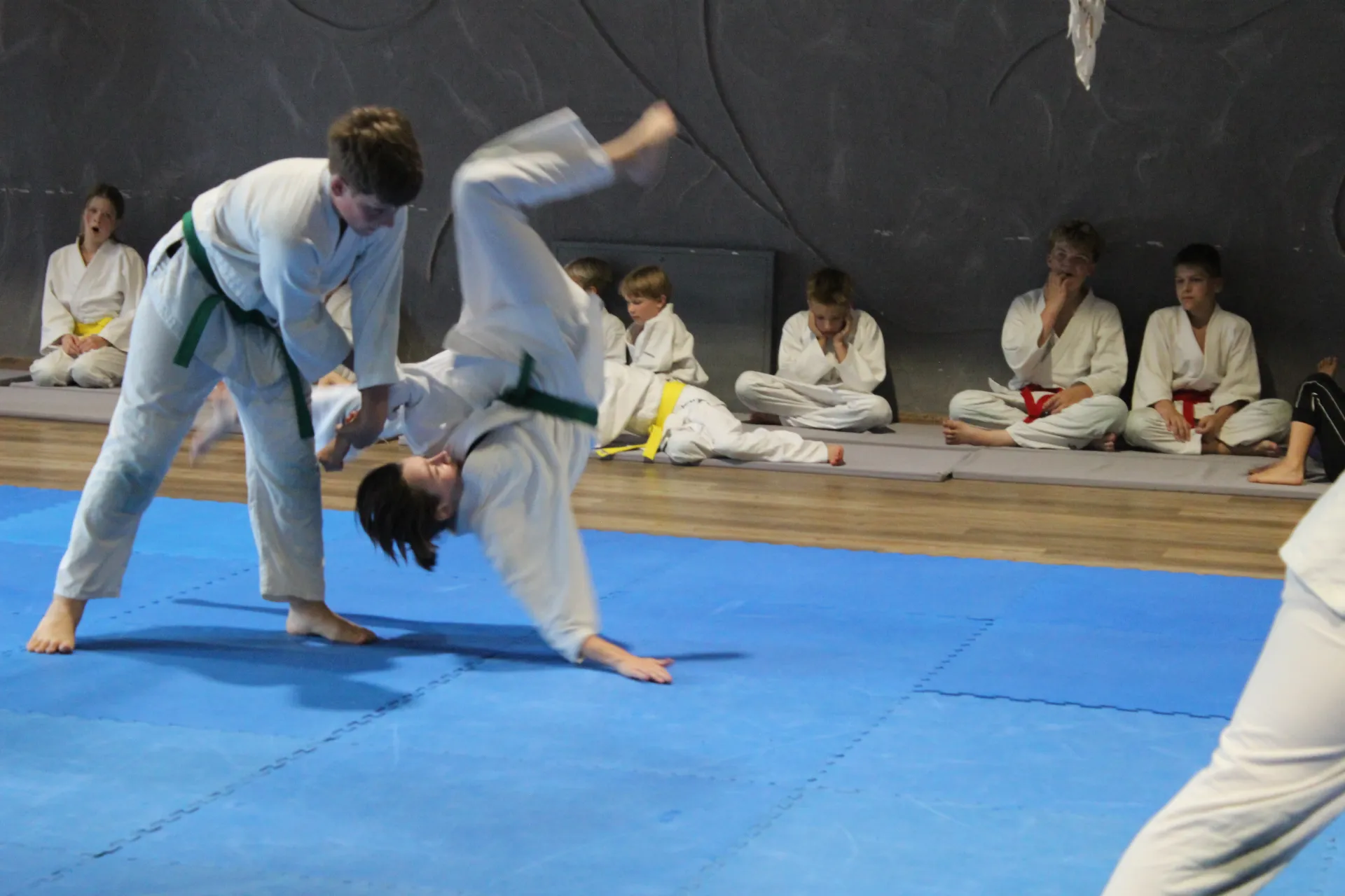 Aikido namai „Ramus dangus“