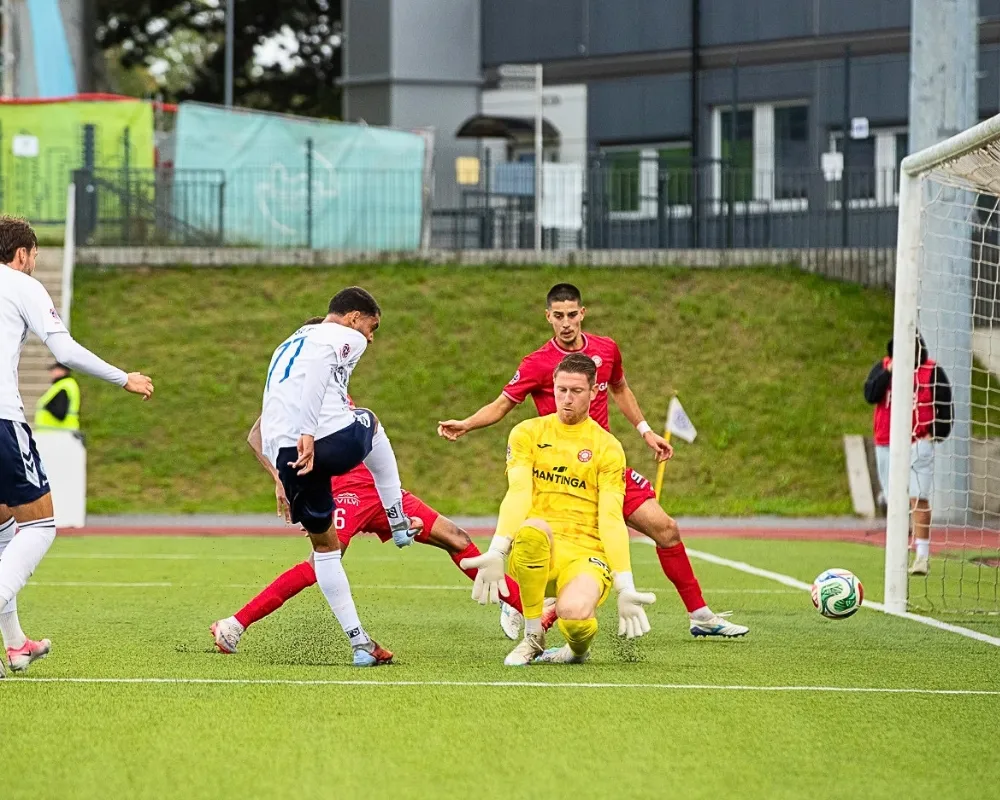 FC Hegelmann