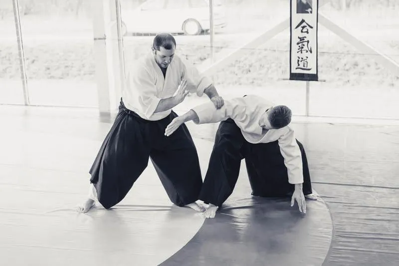 Aikido Aikikai skola „Aidas“