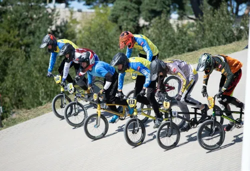 BMX-agentuur