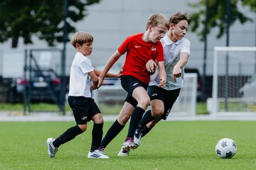 Futbolo akademija Viltis