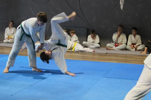 Aikido namai „Ramus dangus“