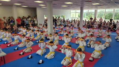 Клуб каратэ IPPON.LV