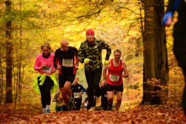 Marathon de la forêt de Loberen