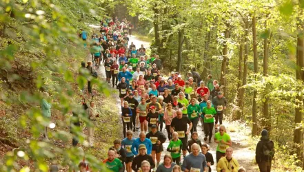Corsa di montagna nell'Harz