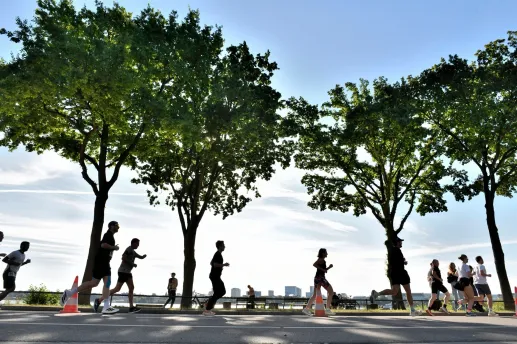 CURREX Carrera del Alster