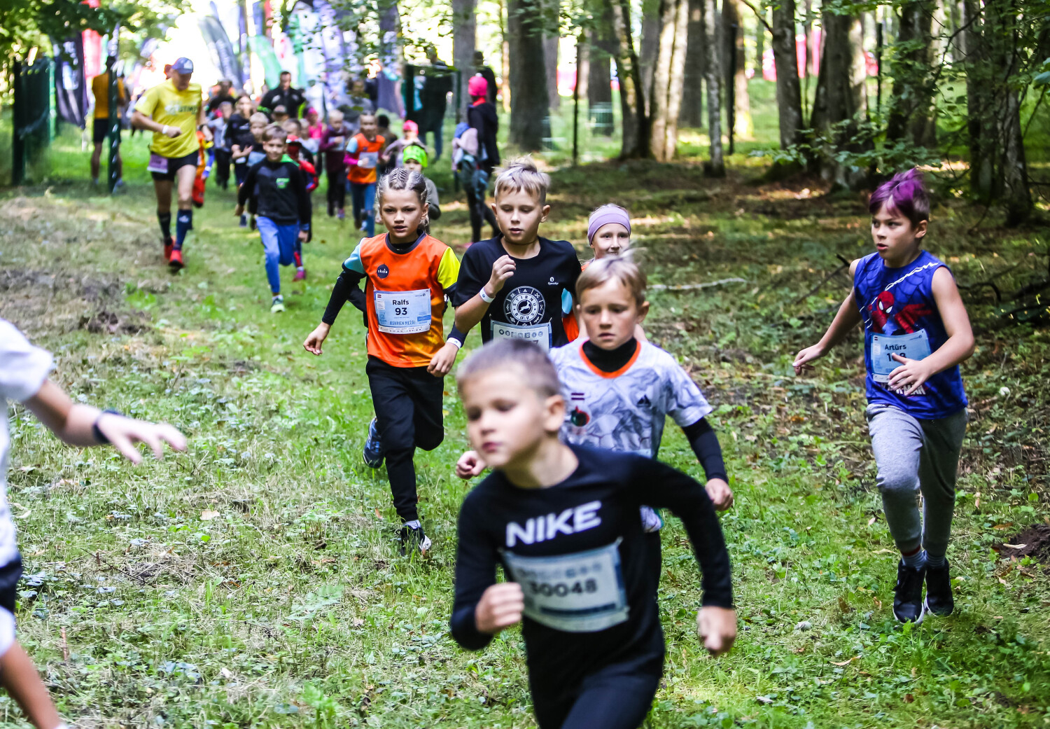 Latvian State Forests Stirnu buks