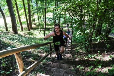 Latvian State Forests Stirnu buks