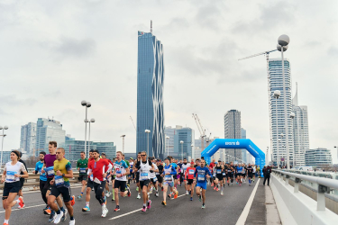 3. VCM Winterlauf - Vienna Calling