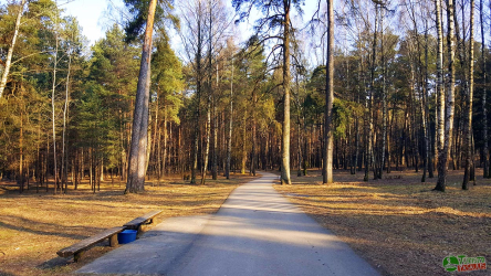 Vilnius Spring Marathon