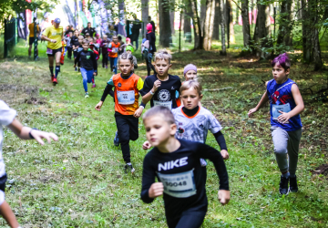 Latvian State Forests Stirnu buks