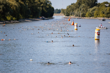MOL Campus Bay Swimming