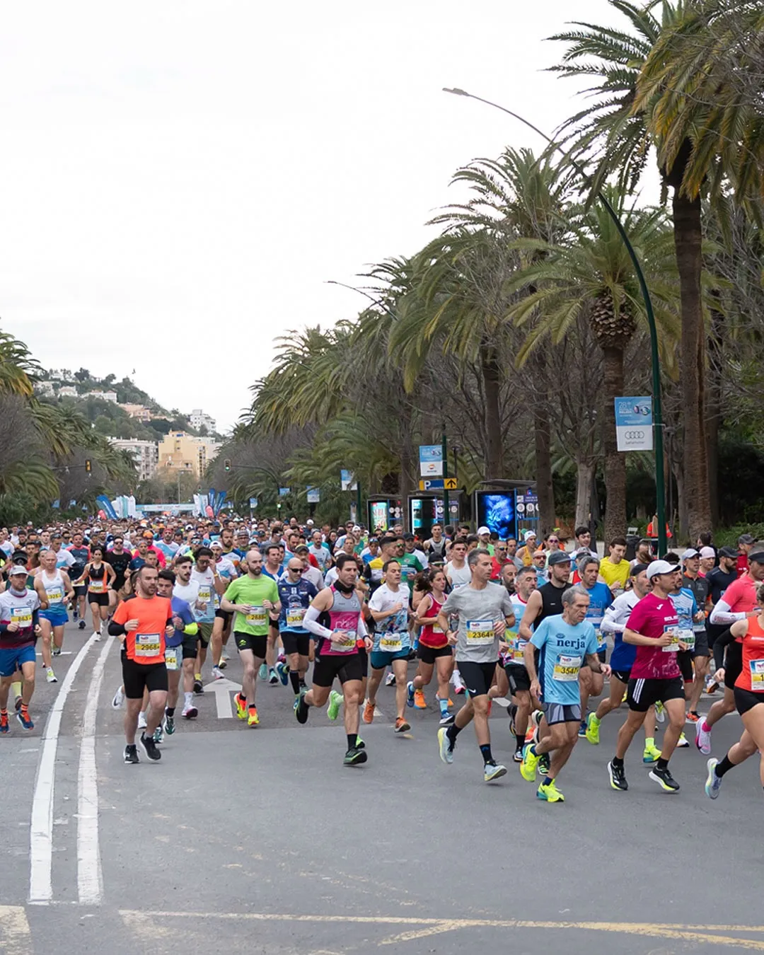TotalEnergies Málaga City Half Marathon