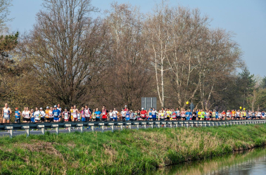 Maratona di Ferrara