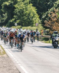 Granfondo Novi Sad