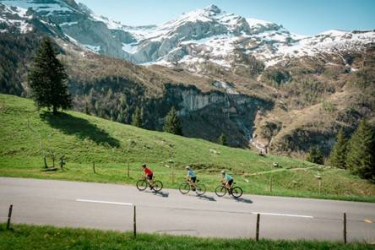 The Majestics - Gran Fondo Suisse