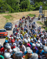 Granfondo Novi Sad