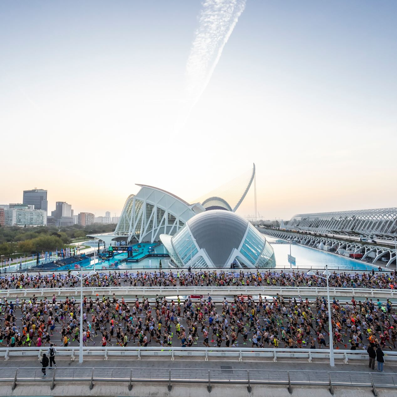 Valencia Marathon Trinidad Alfonso Zurich