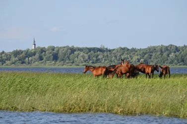 Rattasõit „Ümber Burtnieksi järve“