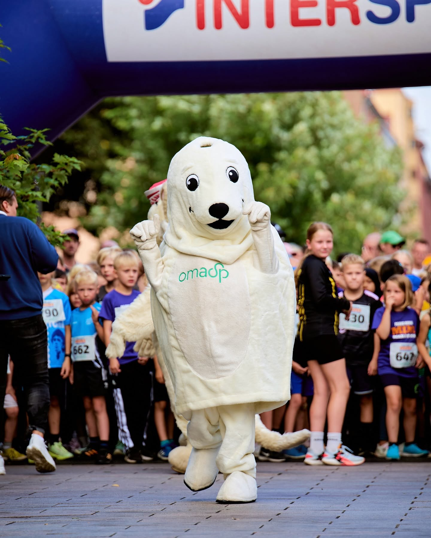 Paavo Nurmi Marathon