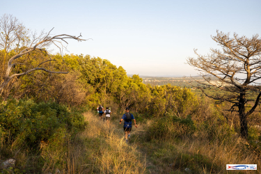 Sardon Run