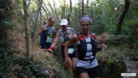 Sardon Run