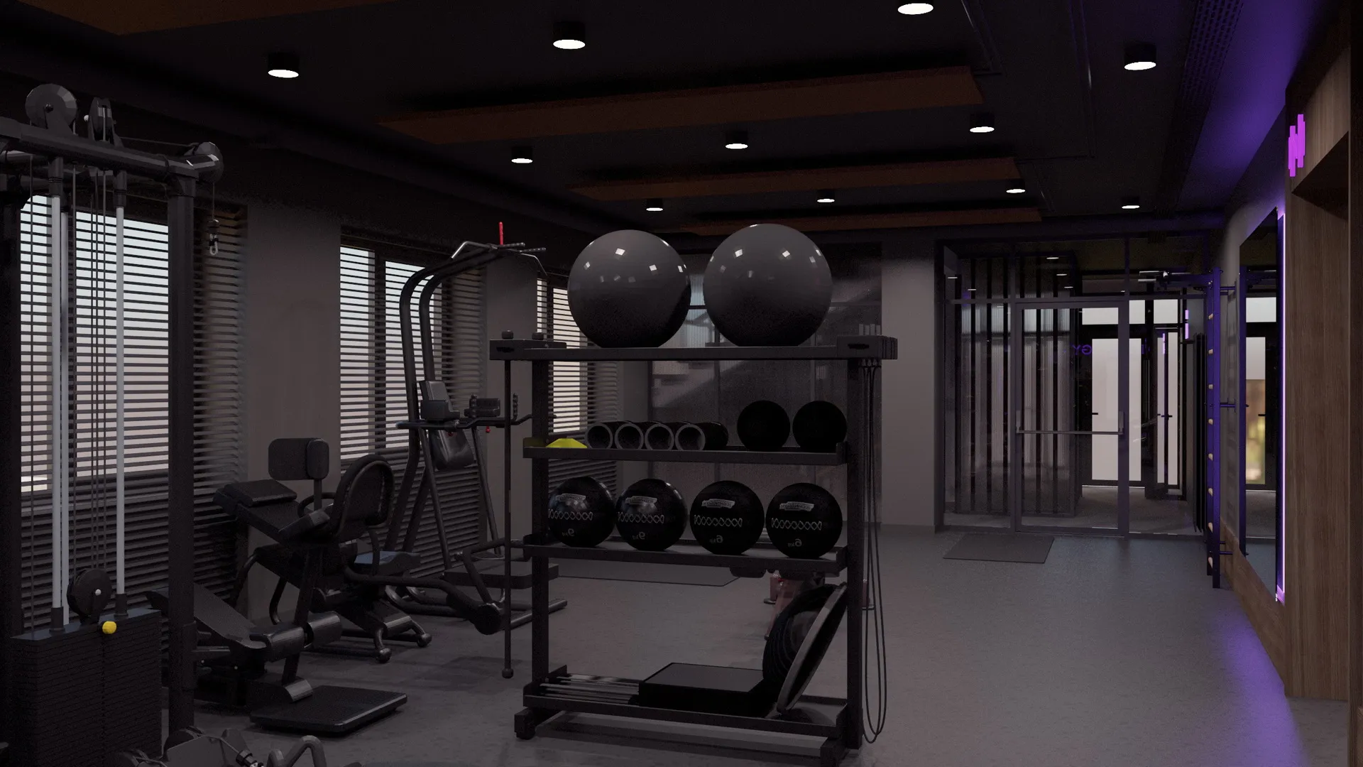 Klub sportowy ICON GYM