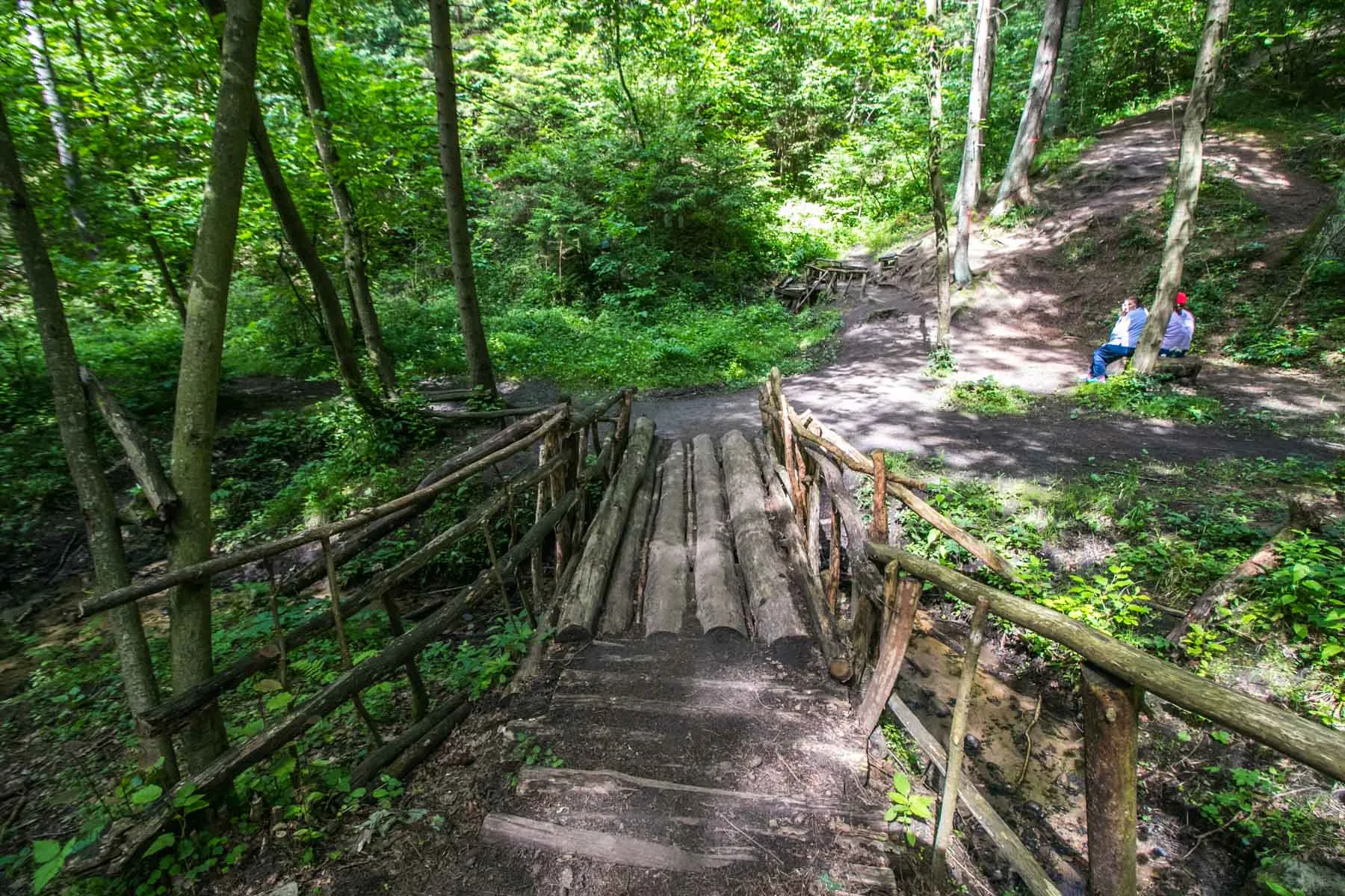 Kleboniškis Forest Park
