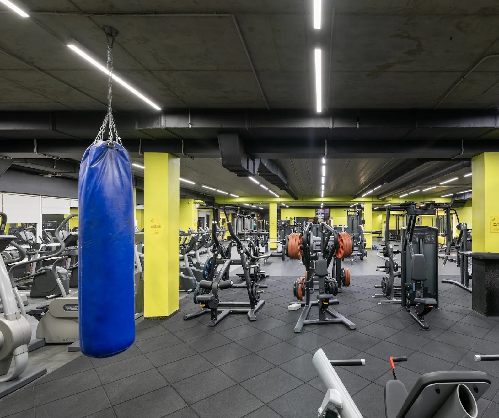 Lemon Gym Antakalnis