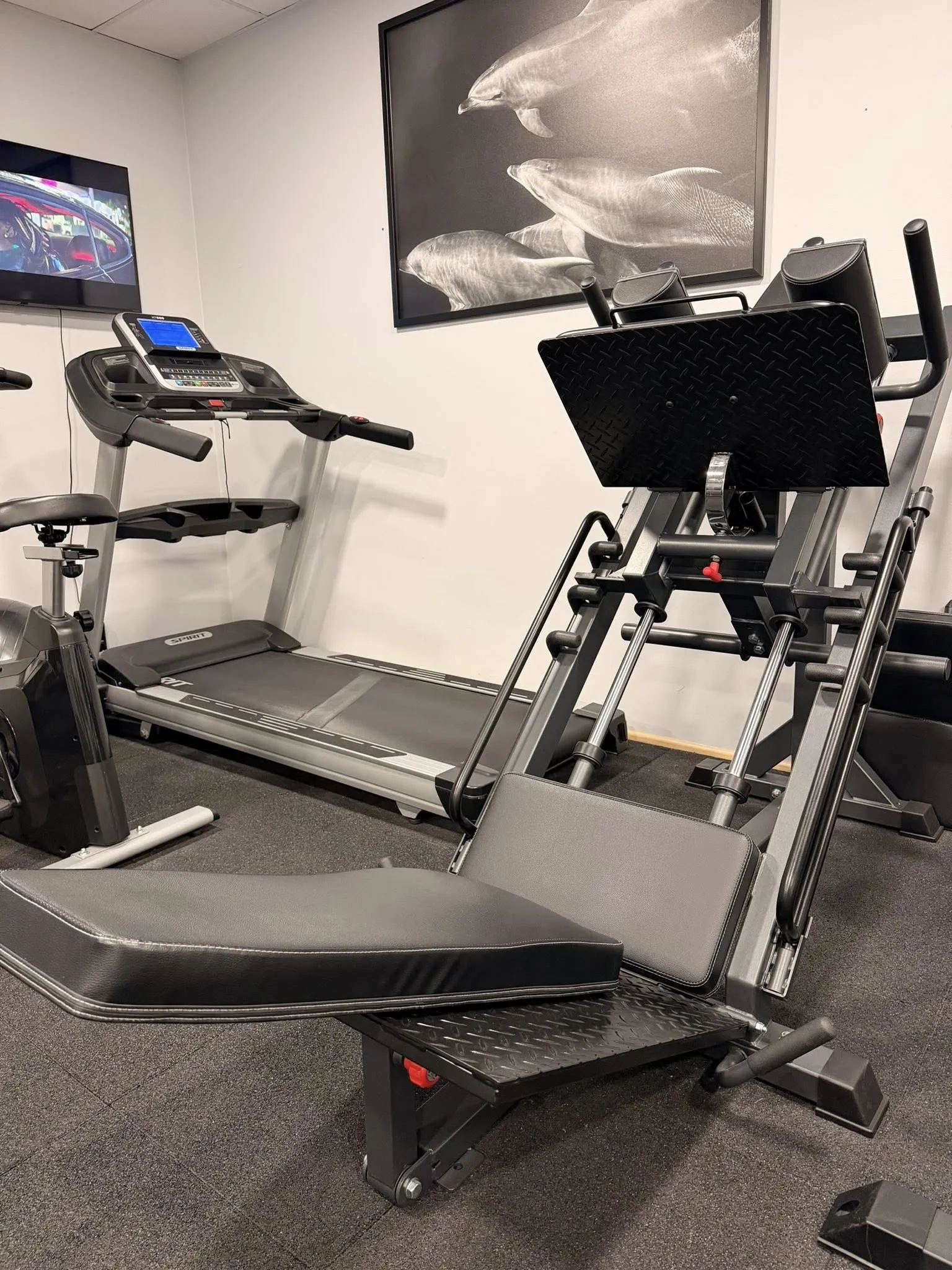 Fitness Studio by Deniza