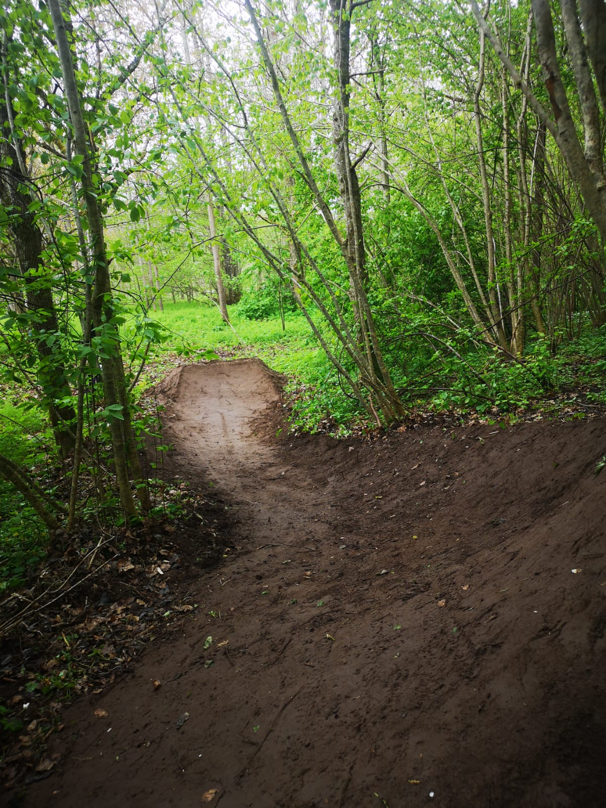 Ozolāji MTB Trails in Kandava