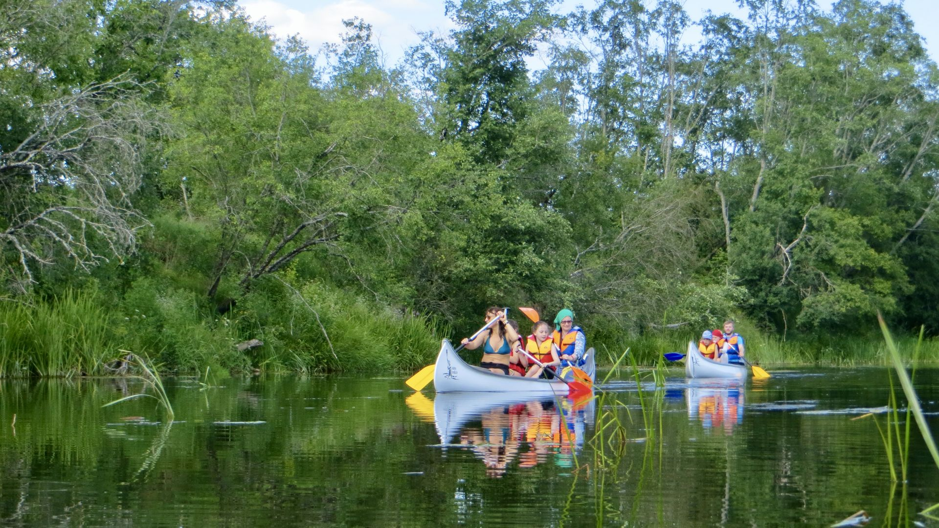 Trolli.lv Boat and SUP Rental in Riga