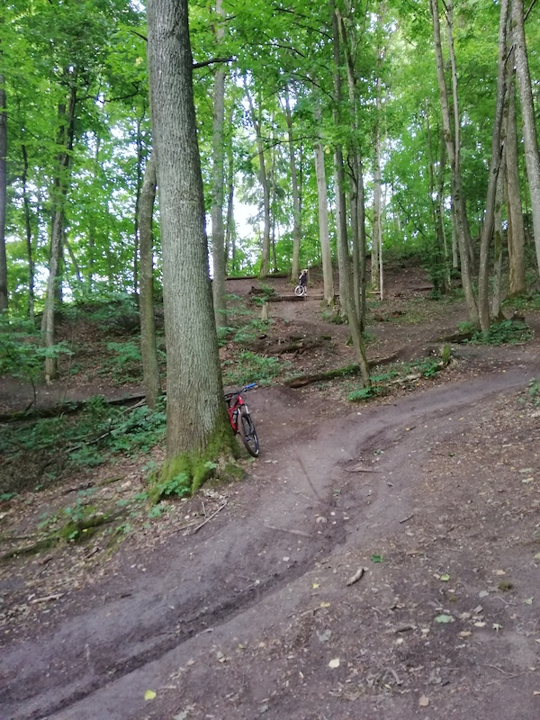 Kleboniškis Forest Park
