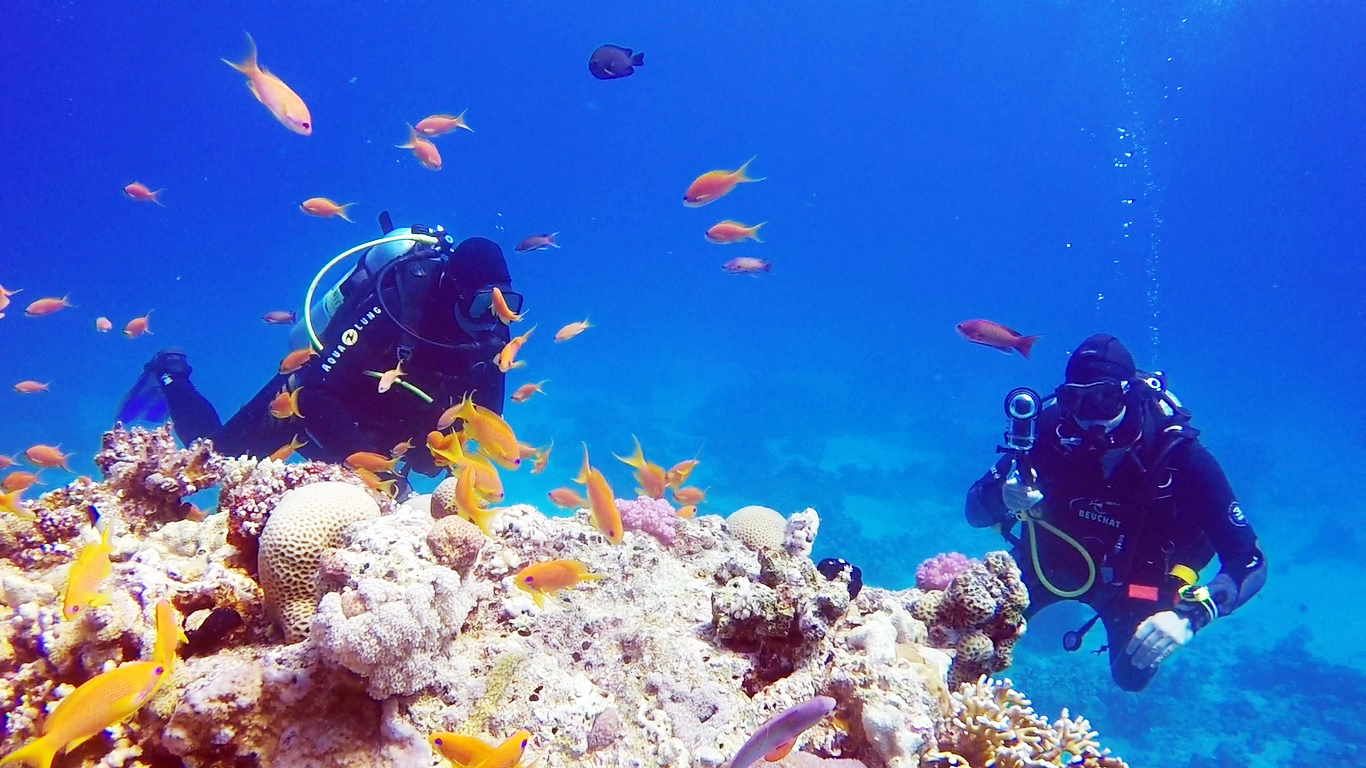 Poseidon Diving Club