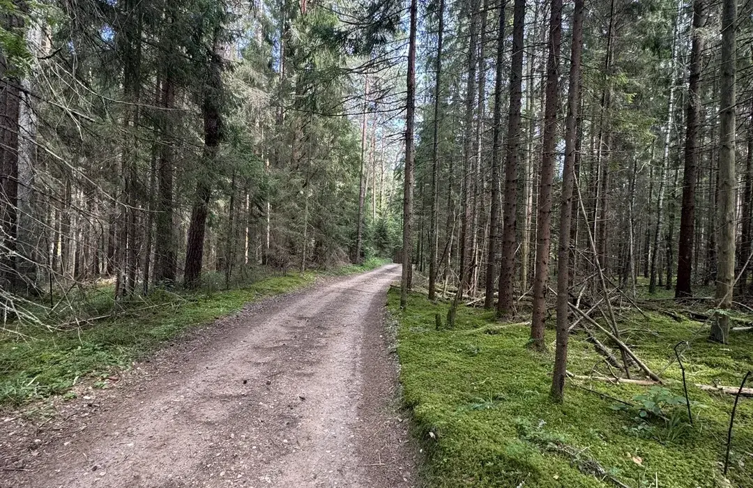 Gražutė Great Cycling Loop