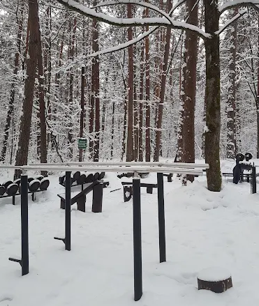 Área de entrenamiento al aire libre en Vilnius 10100