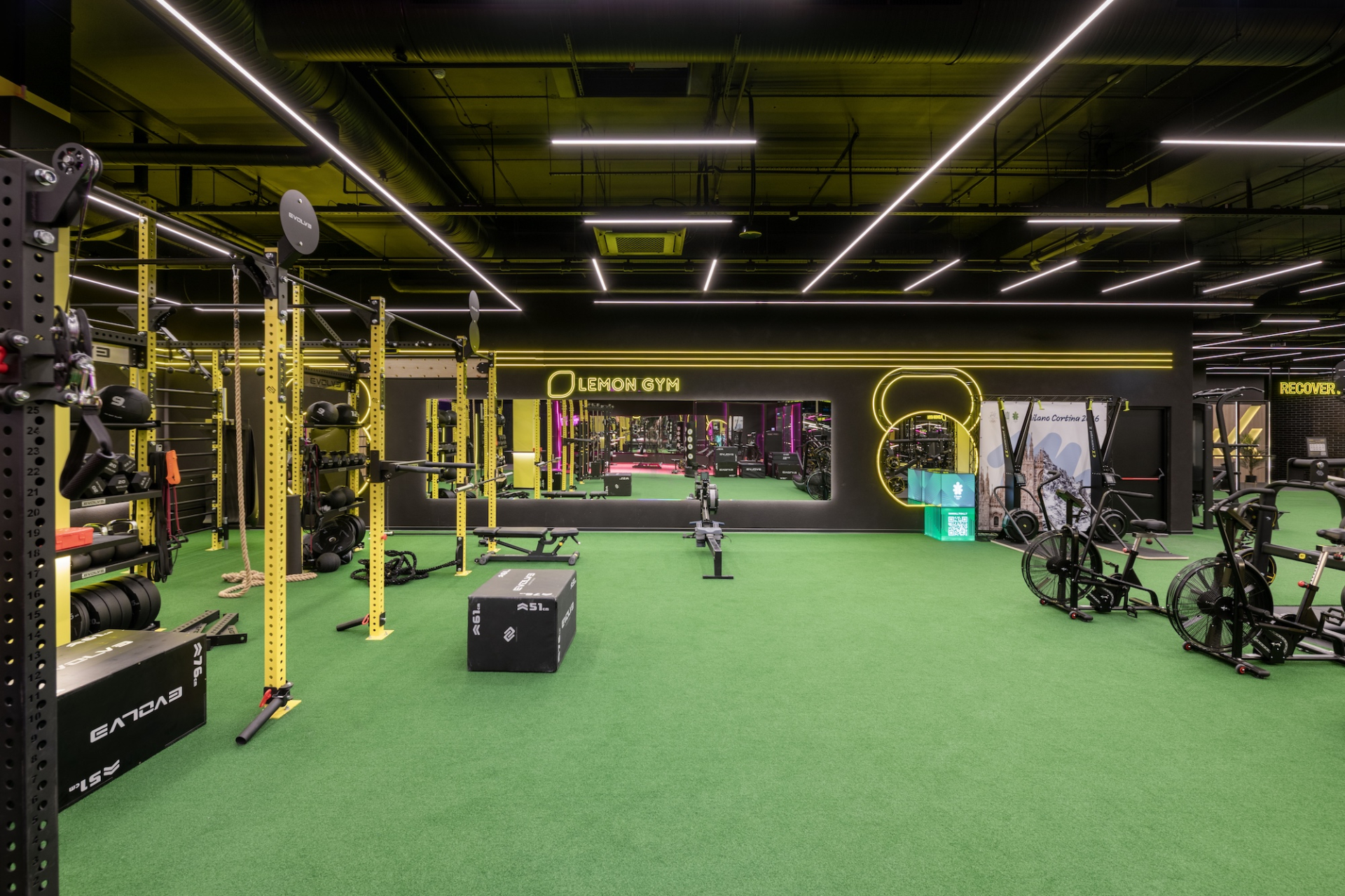 Lemon Gym Pikas