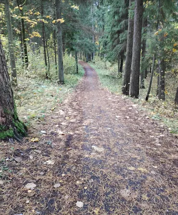Bubiai MTB Trails