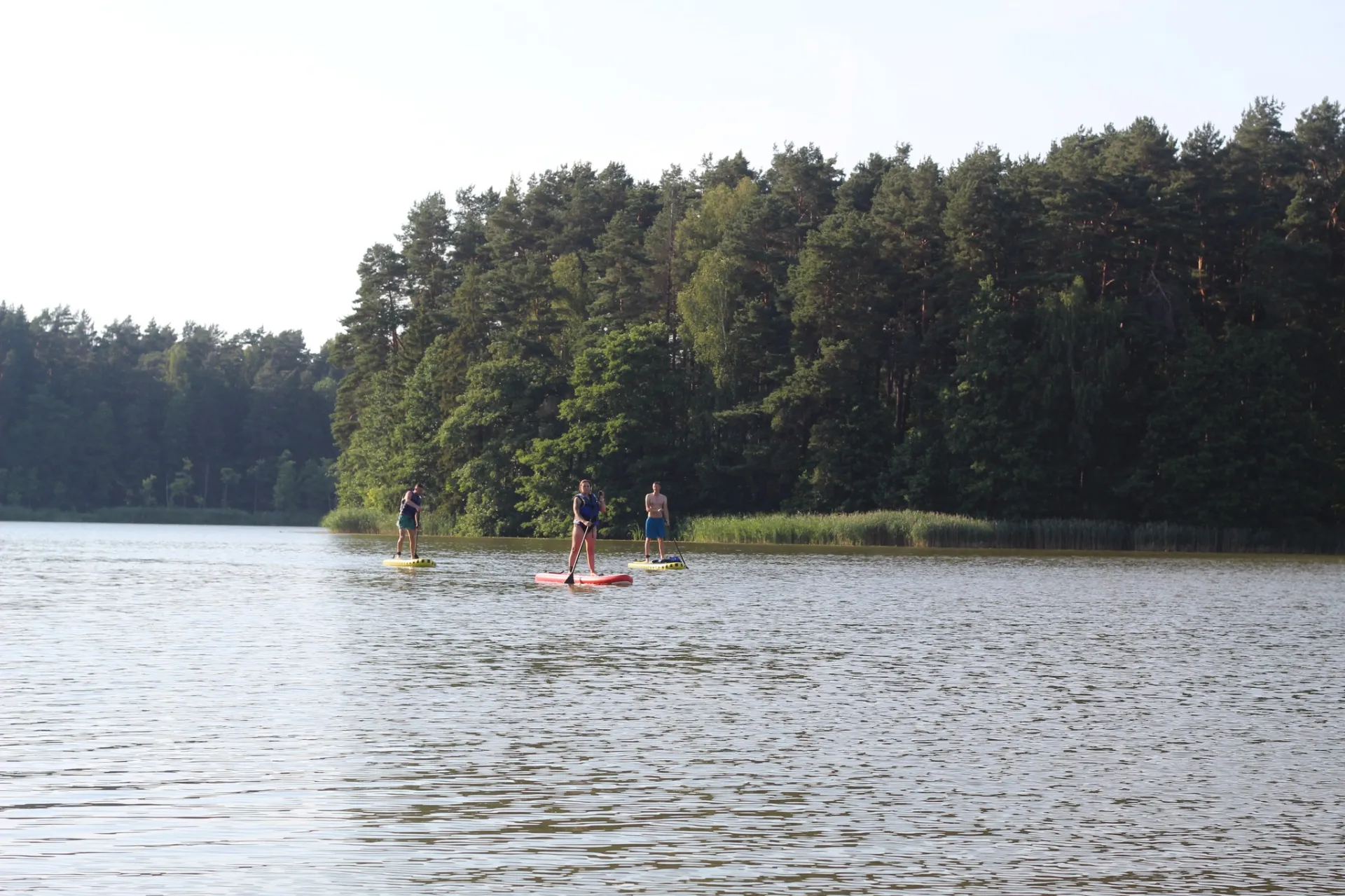 Neprėkšta SUP Self-Service Point