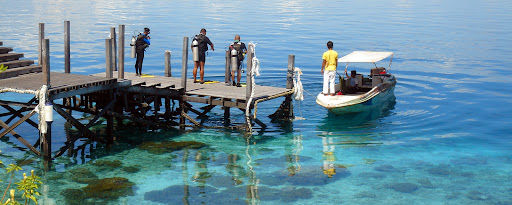 Baltijas Ronis Diving Club