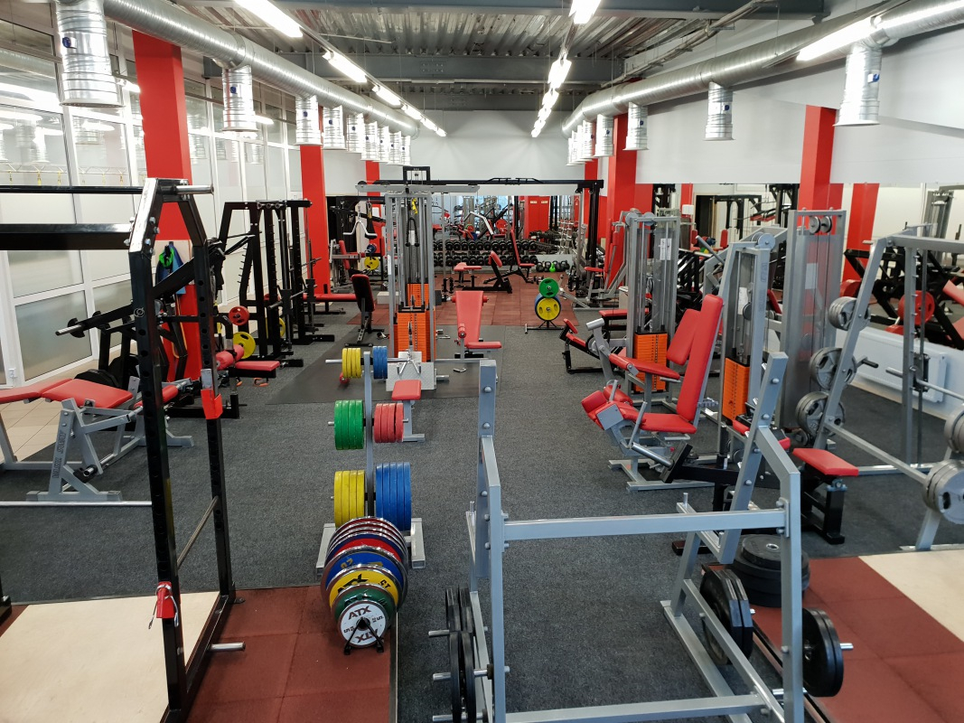 Gold Barbell City