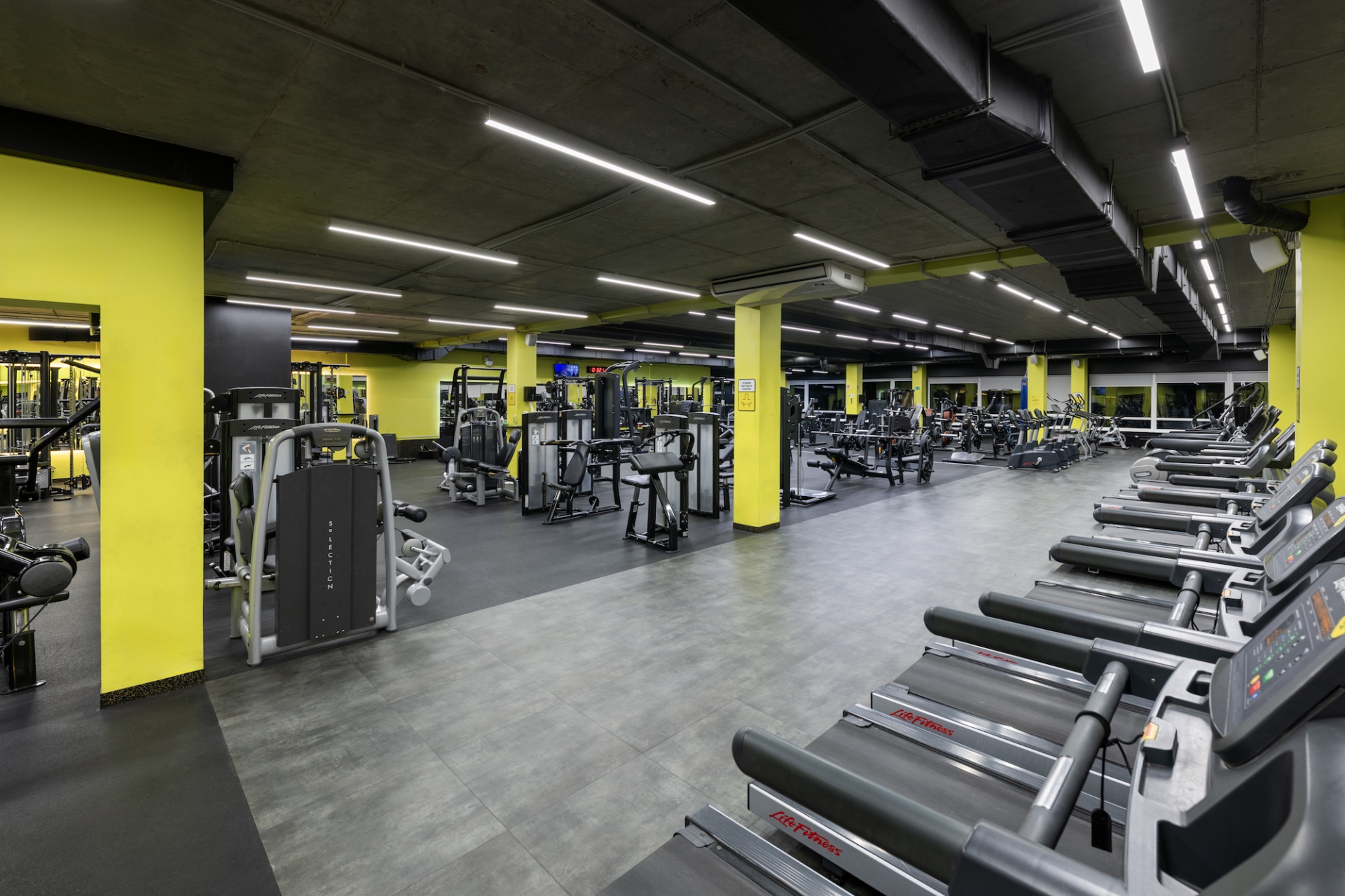 Lemon Gym Antakalnis