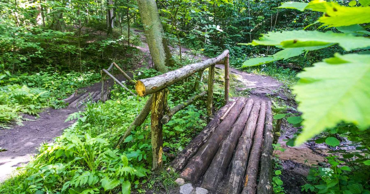 Kleboniškis Forest Park