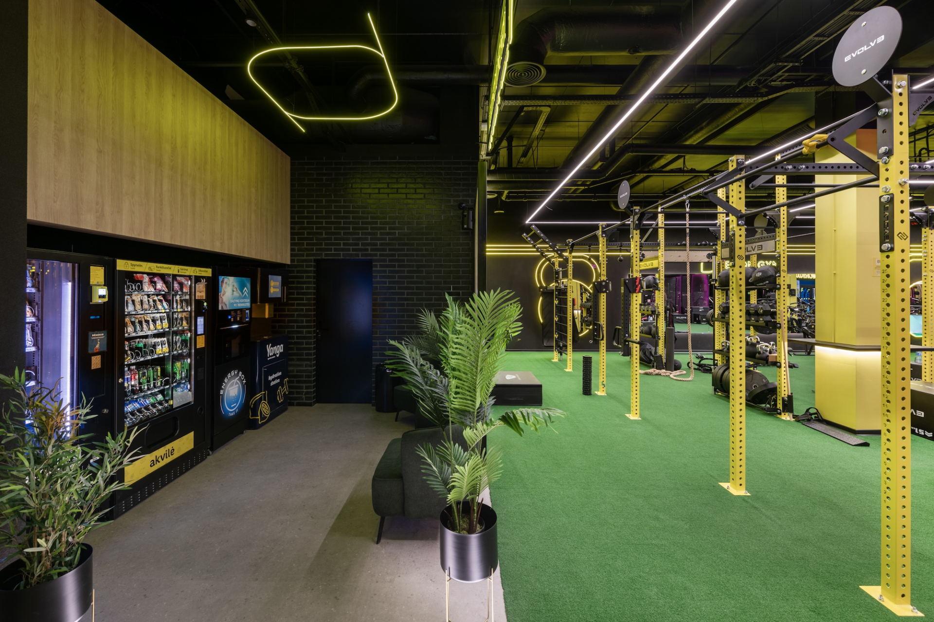 Lemon Gym Pikas
