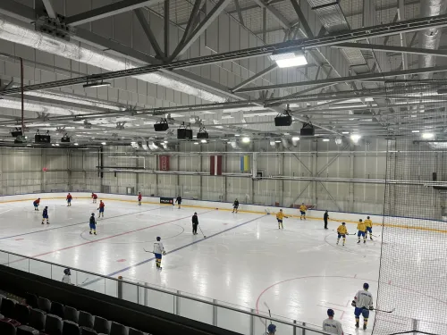 Daugavos ledo arena