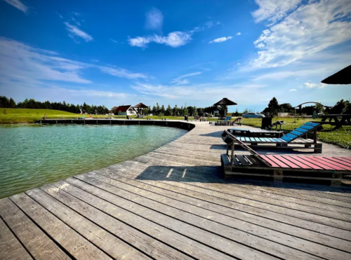 Wake Village Gribžė